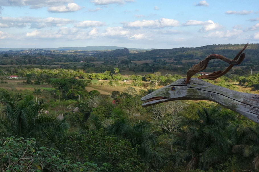 Cuba, vue sur la vallée de Viñales de la propriété du sculpteur autodidacte Noel Dias Gala