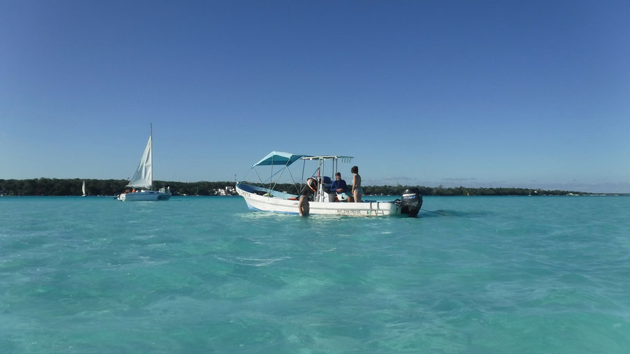 Yucatan, Bacalar : pause baignade près de l'île aux oiseaux dans une eau turquoise, chaude et peu profonde