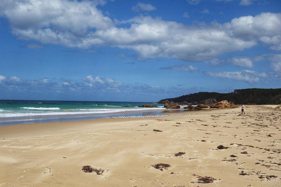 Australie, Croajingolong National Park, Mallacoota : Betka Beach
