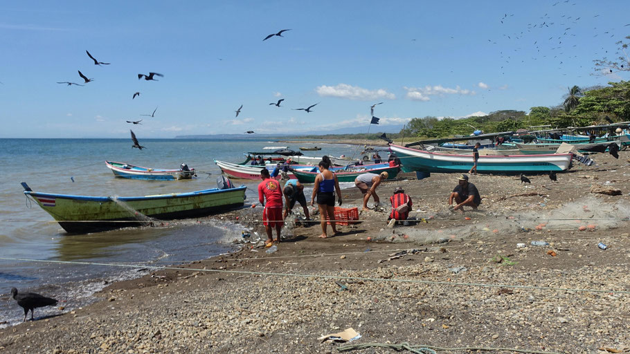 Costa RIca : port de Tarcoles