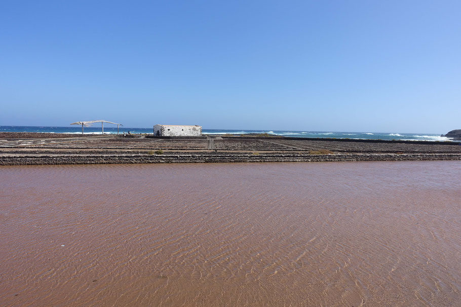 Fuerteventura : marais salants roses à Las Salinas del Carmen