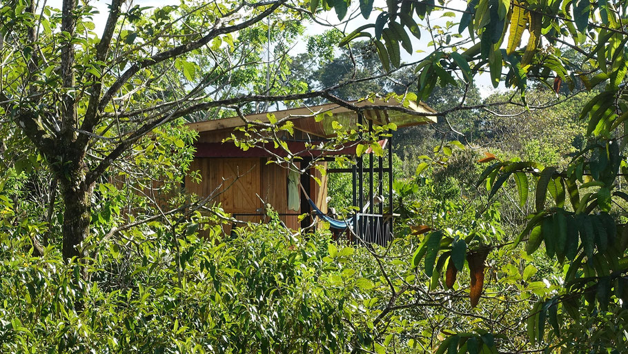 Costa Rica : Onca Tours & Tree Houses, petit paradis en pleine nature