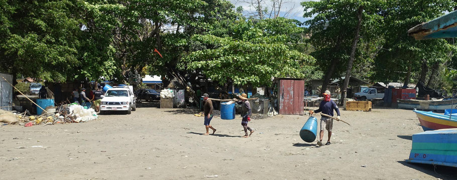 Costa Rica : dans le petit port de Tarcoles