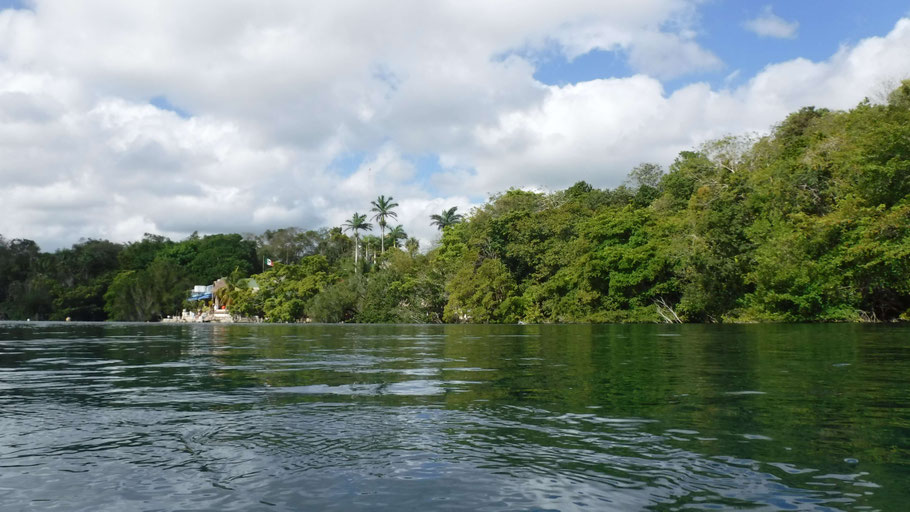 Mexique, Yucatan : l'eau du cénote Azul, près de Bacalar, est sombre car il fait 90 m de profondeur