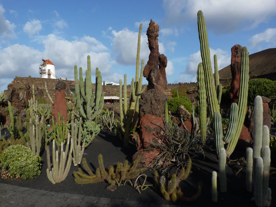 Lanzarote : le Jardin de cactus