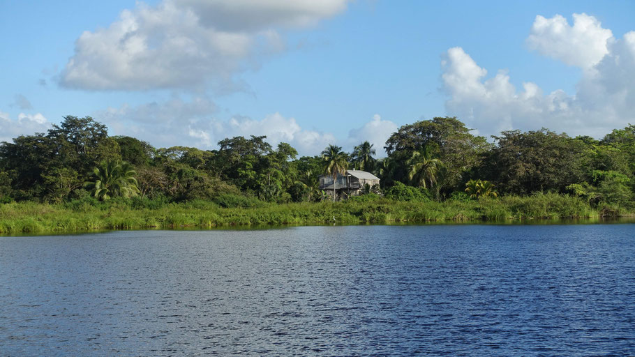 Belize, Tower Hill : paysage de lagune