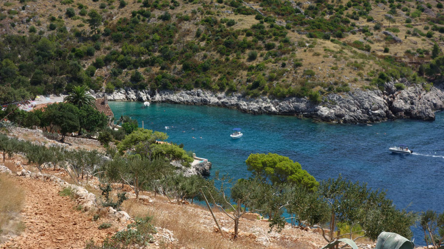 Croatie, Hvar : plage de Dubovica