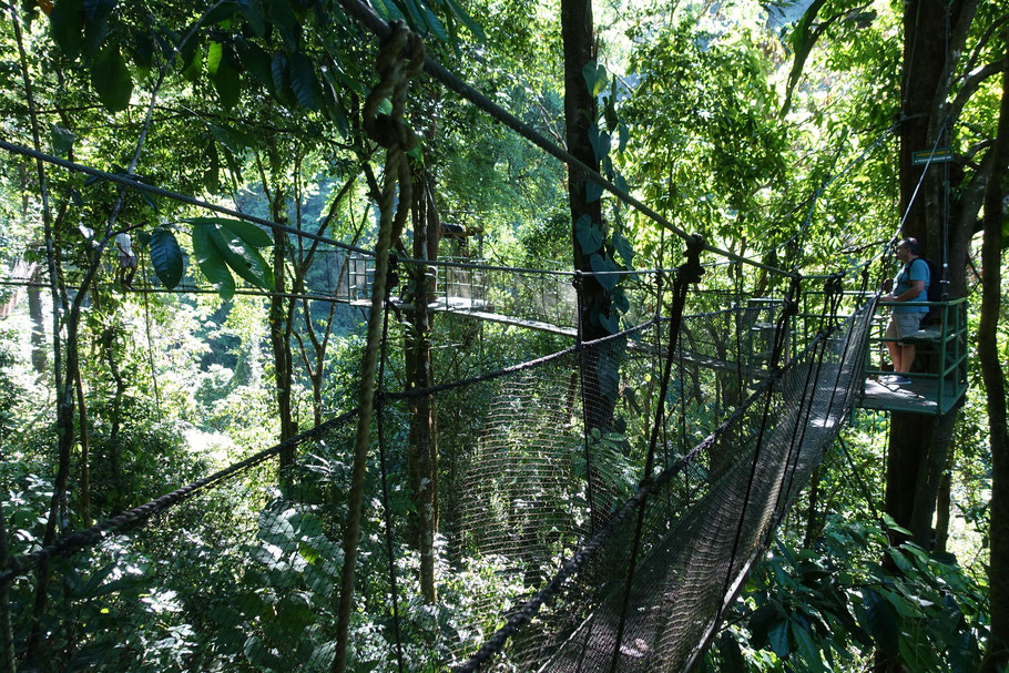 Costa Rica : les ponts suspendus du parc Rainmaker ne sont plus tout jeunes mais le site est exceptionnel