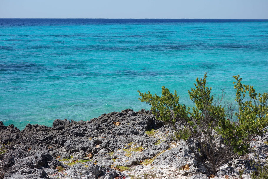 Cuba : Punta Perdiz, un site exceptionnel, paradis des plongeurs et des snorkelers (centre de plongée sur place)