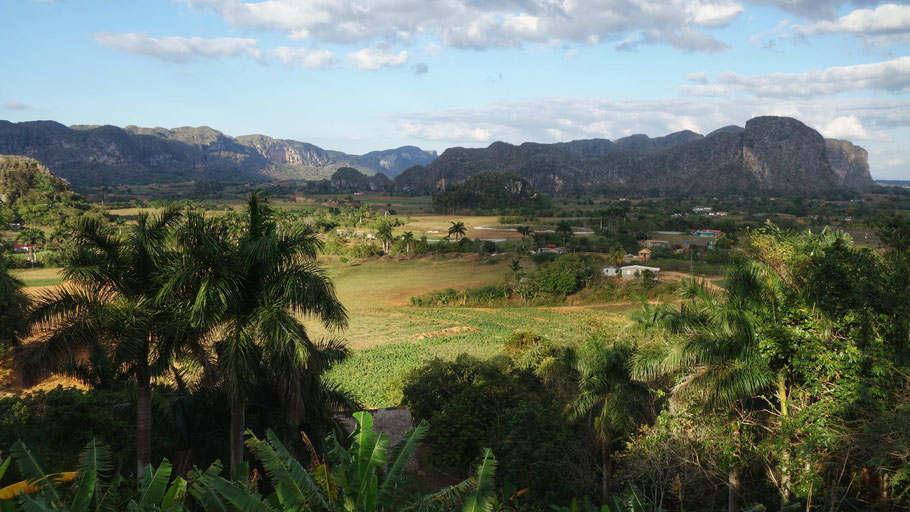 Cuba, panorama sur la vallée de Viñales de la propriété du sculpteur autodidacte Noel Dias Gala