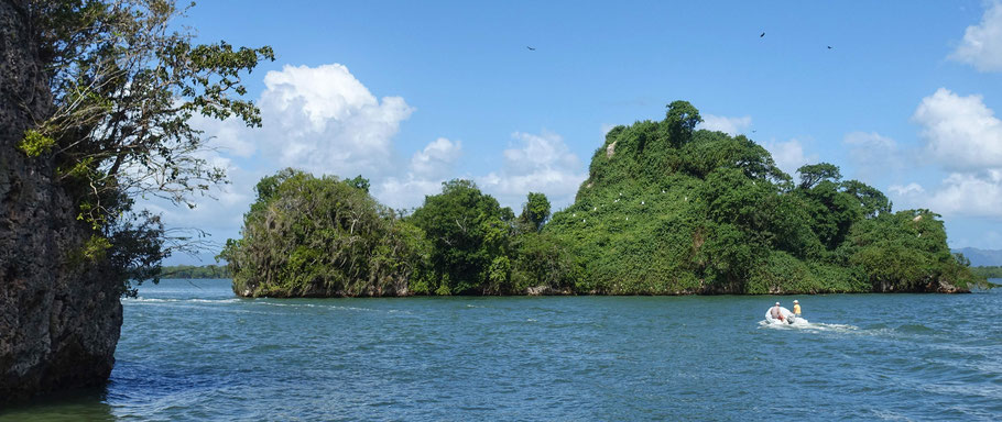 République Dominicaine, péninsule de Samana : parc de Los Haïtises