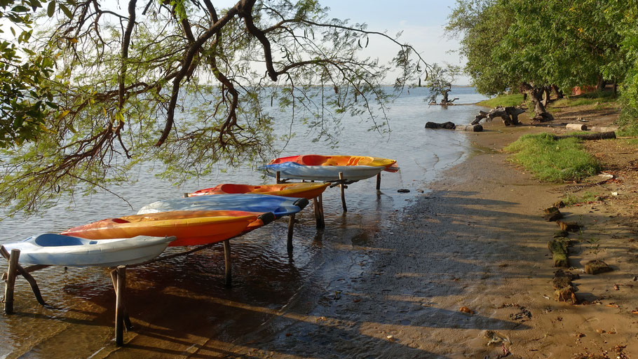Sénégal, Sine Saloum : l'écolodge de Simal met gratuitement des kayaks à la disposition de ses clients
