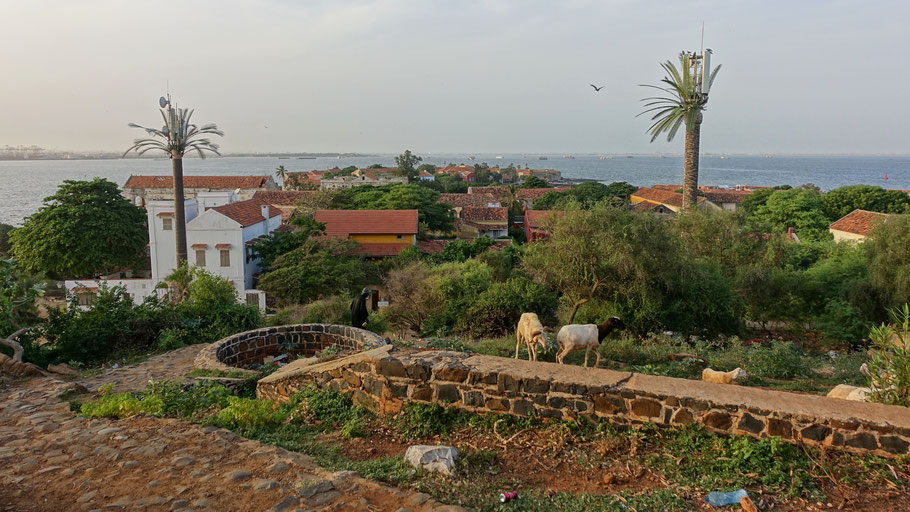 Sénégal : vue panoramique sur Gorée du haut de la colline (et du fort) du Castel située au sud de l'île et culminant à... 30 m