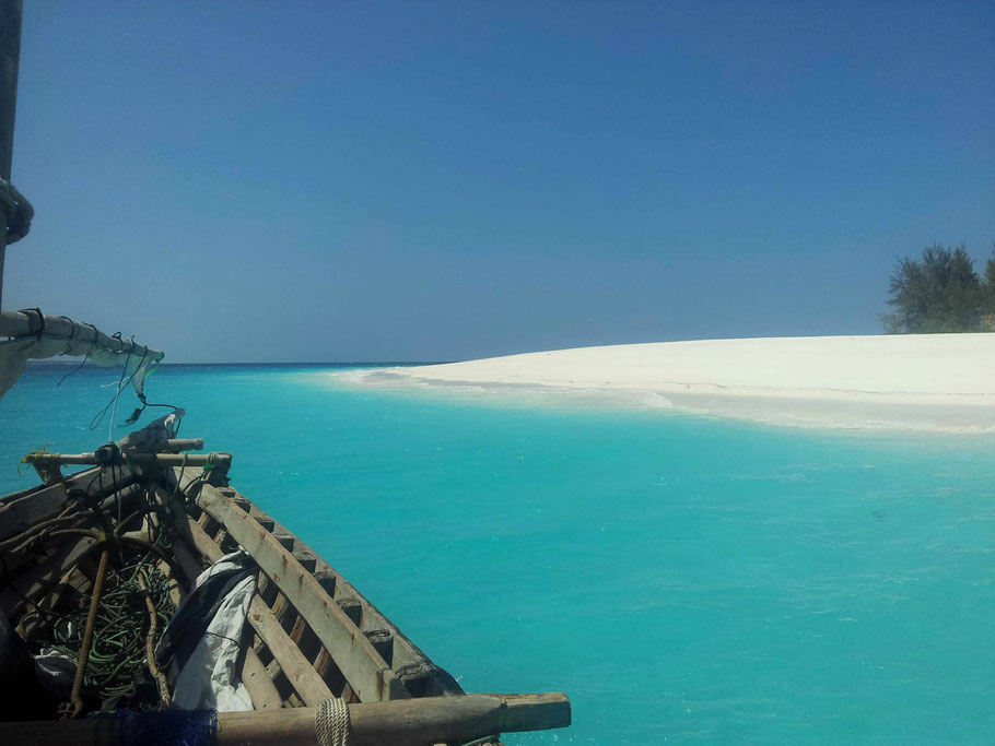 Zanzibar : îlot de Mnemba