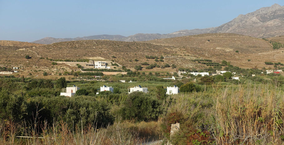 Grèce, Cyclades : Naxos, la maison chez Catherine fait partie d'un ensemble de quatre villas situées dans un beau jardin arboré au coeur d'une zone agricole verte
