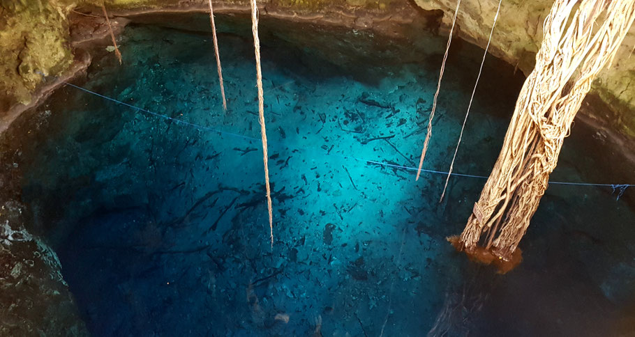 Mexique, Yucatan : cénote Chak-Zinik-Ché (ou Chacsinicché) à Cuzamá