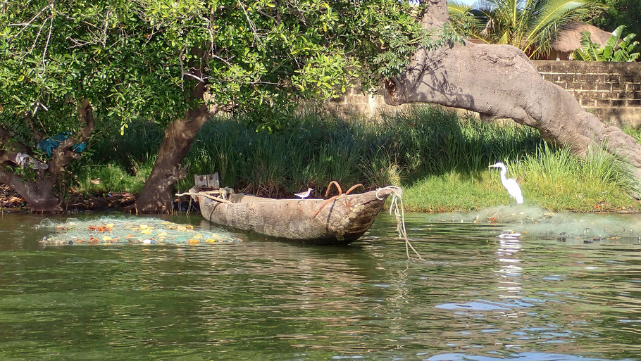 Sénégal, Sine Saloum : pirogue et héron blanc lors de notre sortie kayak sur la lagune de Simal