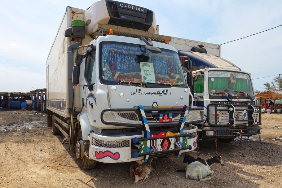 Sénégal, Sine Saloum : camions attendant leur cargaison de poissons dans le port de Djiffer