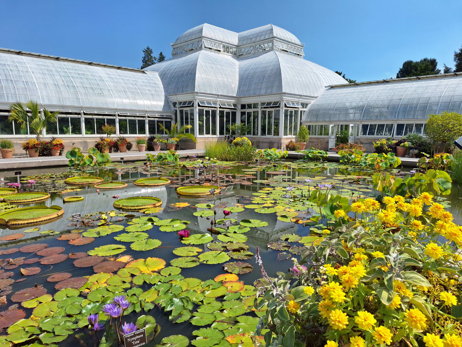 New York, Bronx : Le Enid A. Haupt Conservatory du Botanical Garden