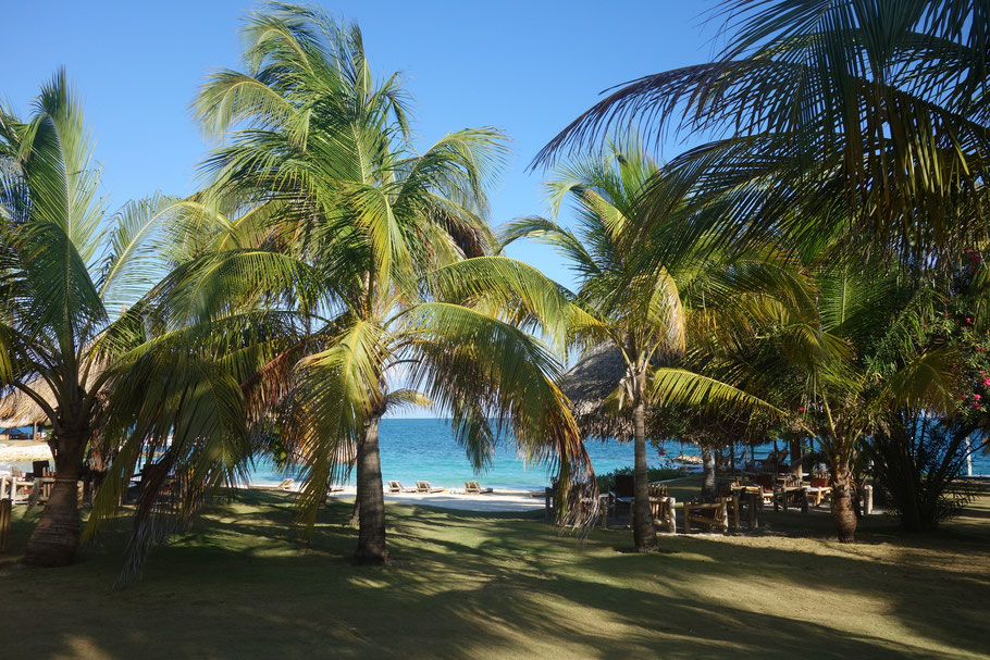 Ile de Mucura : jardin tropical de l'hôtel Punta Faro