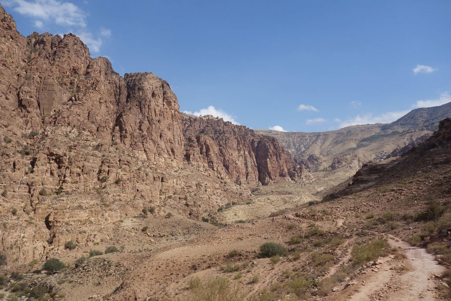 Jordanie, réserve de Dana : trek sur Wadi Dana Trail