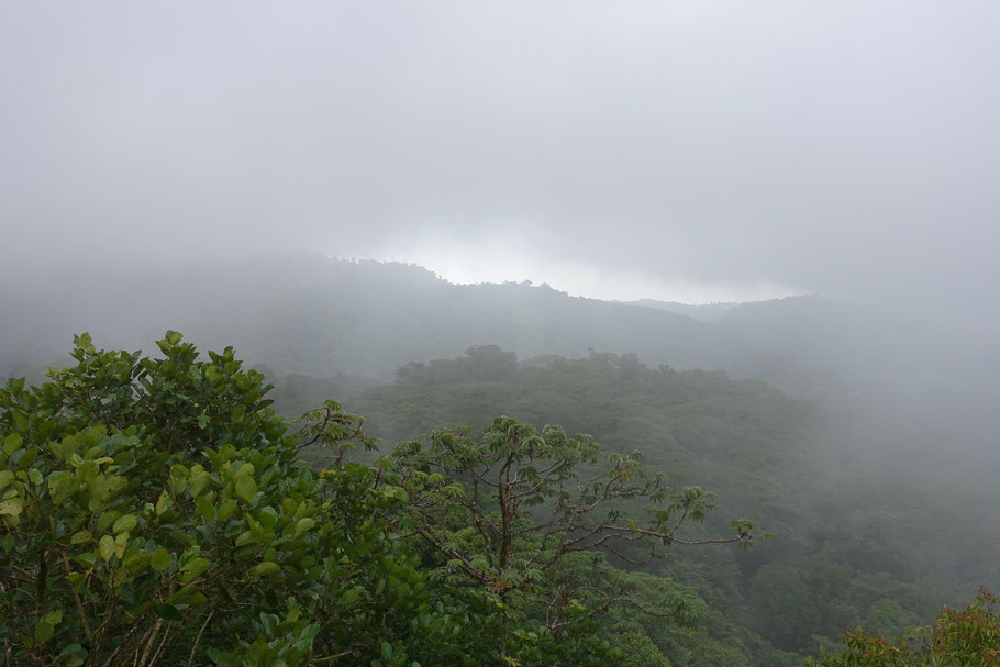 Costa Rica : la réserve de Santa Elena sous les nuages