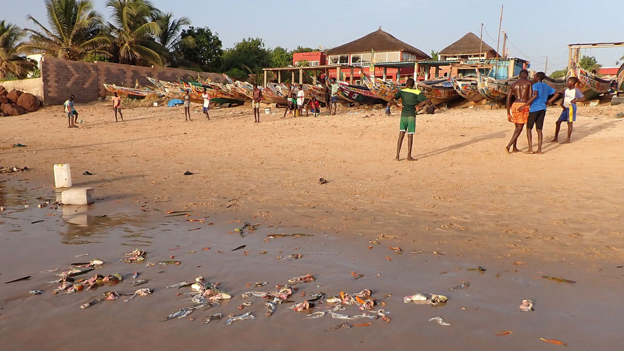 Sénégal, petit port de pêche à la Somone près de la maison d'hôtes Senebreith