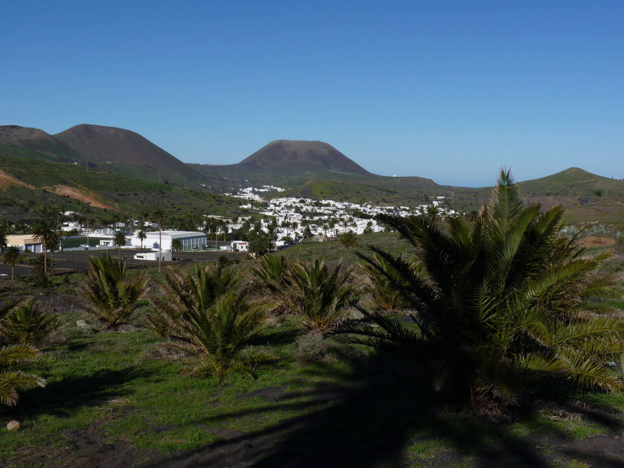 Canaries, Lanzarote : Haria