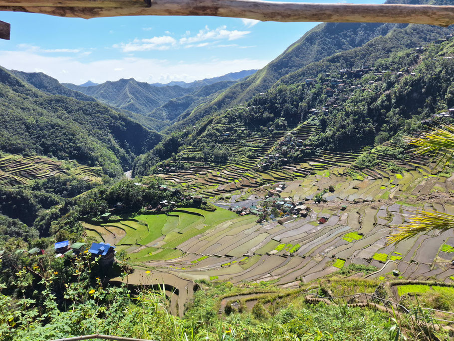 Vue sur Batad et ses rizières du café Cristina's Refreshment