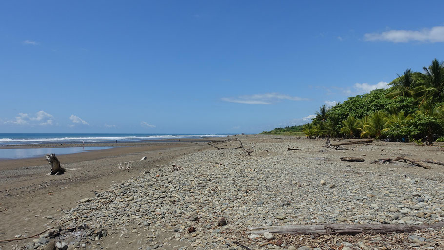 Costa Rica : Playa Dominical, spot réputé des surfeurs