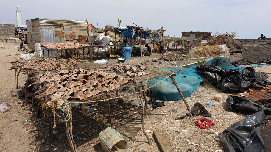 Sénégal, Sine Saloum : séchage du poisson dans le port de Djiffer