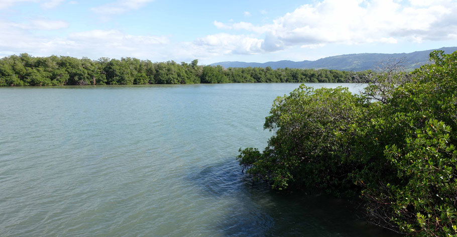 La lagune d'Estero Hondo au Manati View Point (accès par une piste)