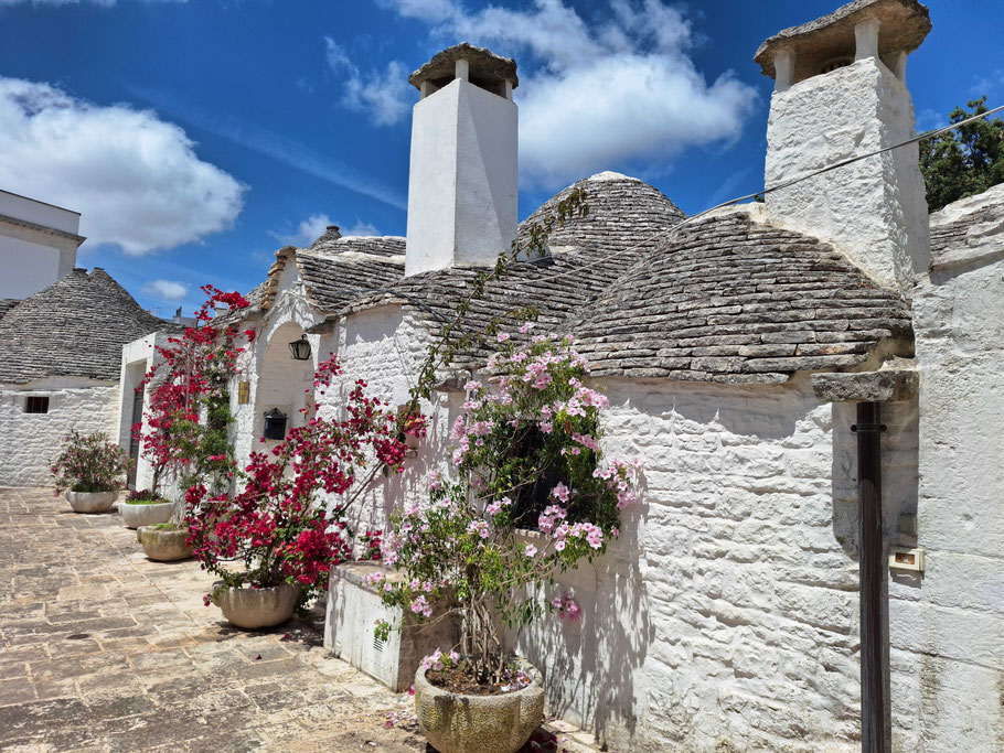 les Pouilles : Trulli fleuris d'Alberobello