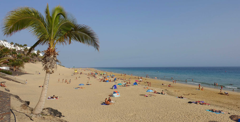 Fuerteventura : la longue et magnifique plage Matorral à Morro Jable