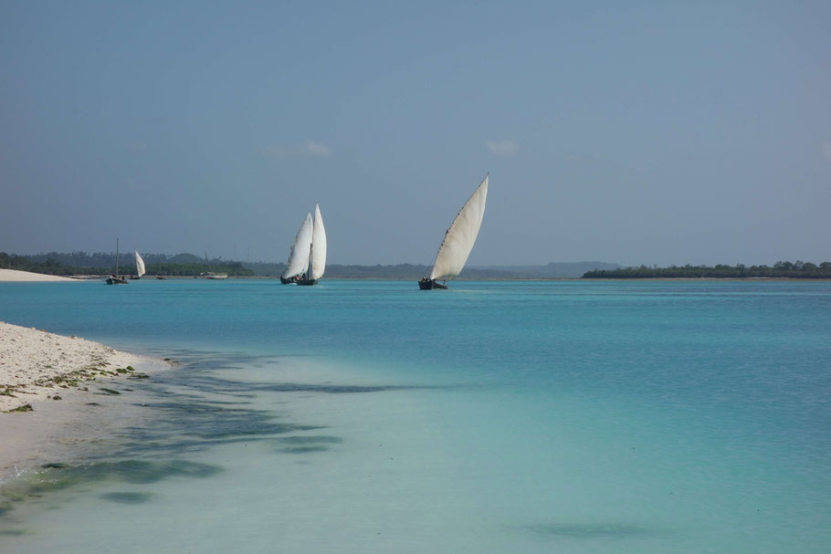 Zanzibar, Kendwa : départ pour la pêche