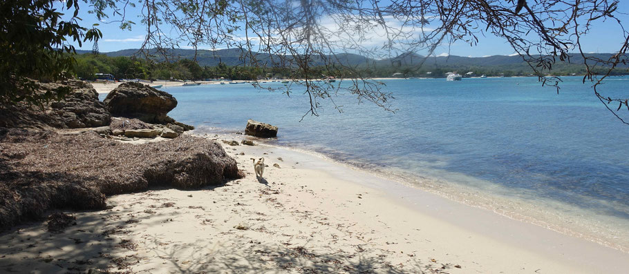 Plage de Punta Rucia