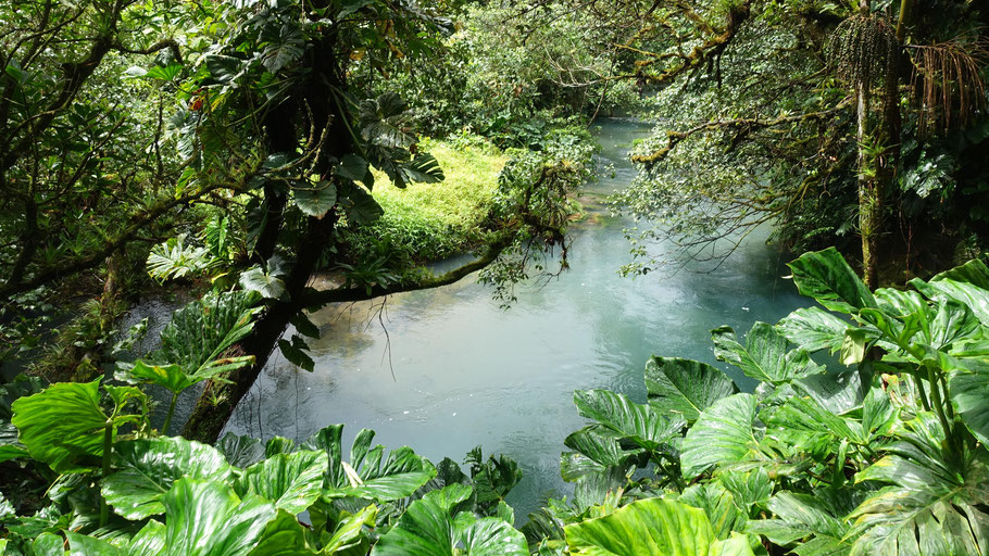 Costa Rica : rio Céleste