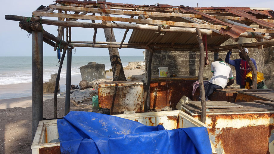 Sénégal, Siné Saloum : retour de pêche à Palmarin