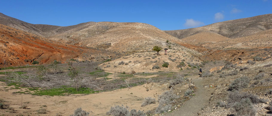 Fuerteventura : randonnée vers la Montaña de Cardón dans la commune de Pájara