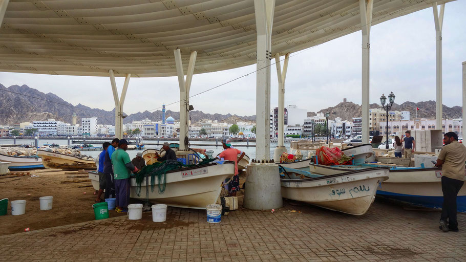 Oman, Mascate : corniche de Mutrah vue du port de pêche