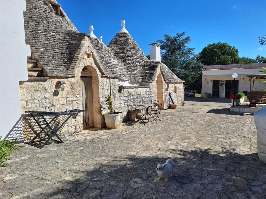 Les Pouilles : Villa Apollonia B&B