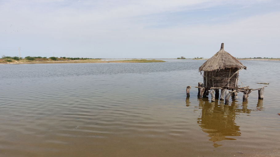 Sénégal, Siné Saloum : grenier à sel à Palmarin
