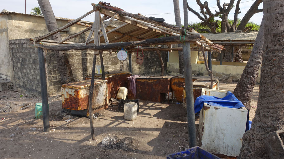 Sénégal, Siné Saloum : Plamarin, vieux congélateurs dans lesquels sont mis les poissons du jour
