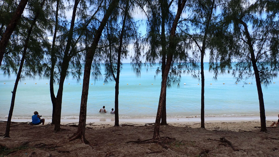Ile Maurice : sur la plage de Mont Choisy