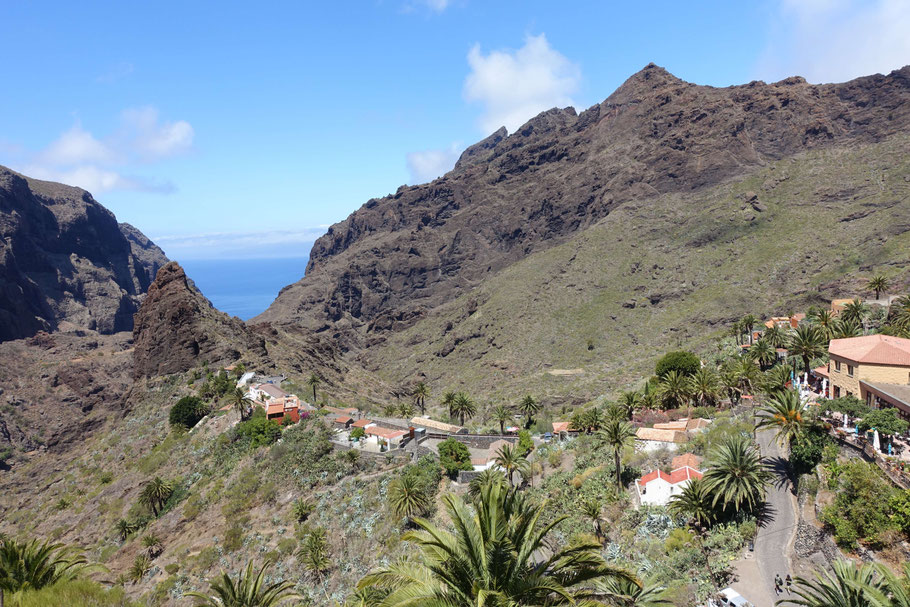Canaries, Tenerife : Masca & Roque Catana