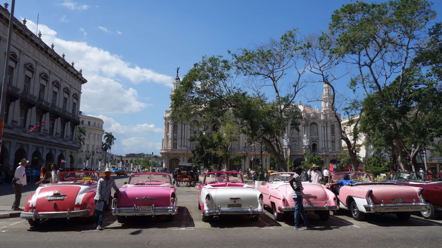 Cuba, La Havane : location de vieilles voitures américaines décapotables sur le Parque Central