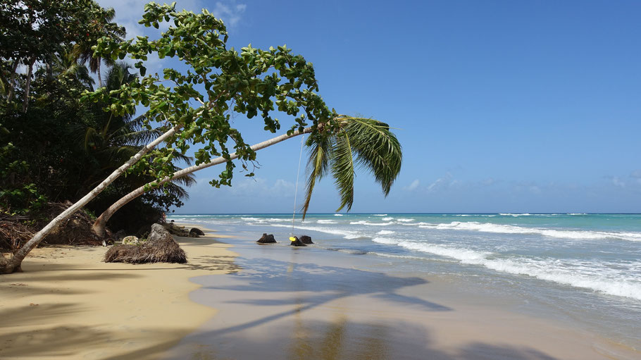 République Dominicaine, Las Terrenas : Playa Cosón
