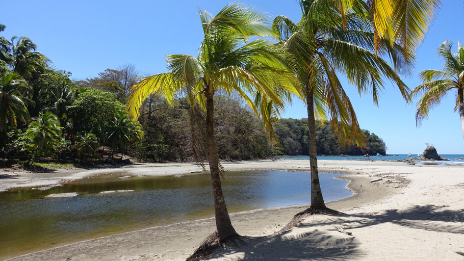Costa Rica : extrémité Est de Playa Carillo où l'on peut voir des crocodiles
