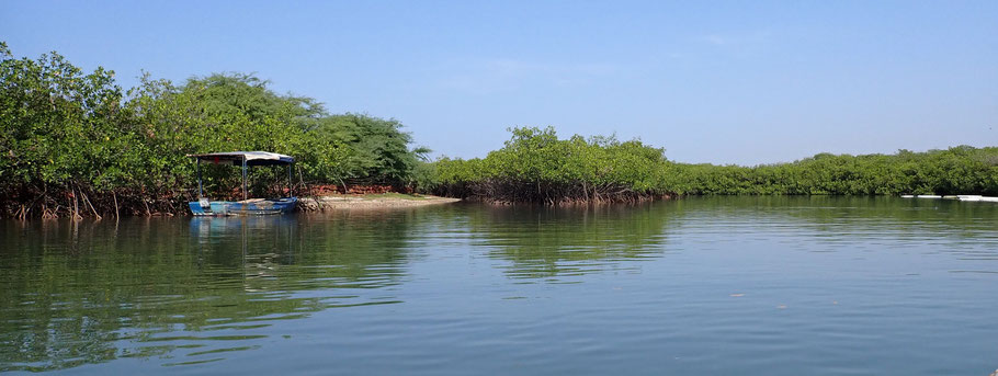 Sénégal, Petite-Côte : la lagune de La Somone