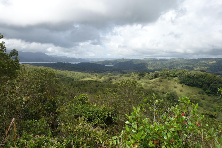 Costa Rica, Mirador El Silencio : panorama sur la forêt avec au loin le Lago Arenal
